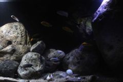 660-Liter-Fels-Uebergangszone-12