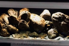 Mbuna-Felszone-672-Liter-65