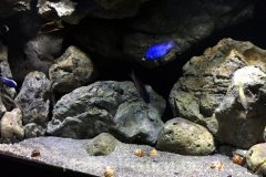 718-Liter-Felsige-Übergangszone-Aquarium
