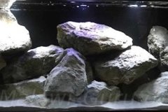 720-Liter-Mbuna/Nonmbuna-felsige Übergangszone-Aquarium