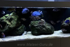 720-Liter-Nonmbuna-7