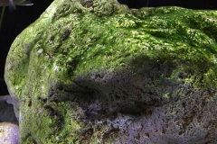 720-Liter-Uebergangszone-Mark-10