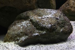 720-Liter-Uebergangszone-Mark-13
