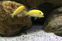 720-Liter-Uebergangszone-Mark-16