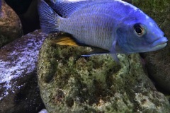 720-Liter-Uebergangszone-Mark-29