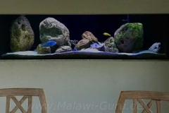 720-Liter-Uebergangszone-Mark-9