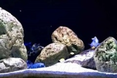 720-Liter-Uebergangszone-Nonmbuna-803