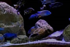 720-Liter-Uebergangszone-Nonmbuna-804