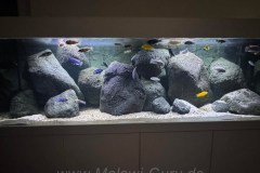 720-Liter Mbuna/Felszone-Aquarium