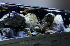 720-Liter-Mbuna/Felszone-Rockzolid/Steine-Aquarium