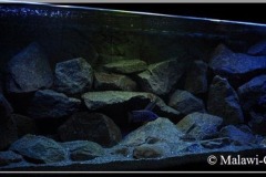 720 Liter Nonmbuna Becken