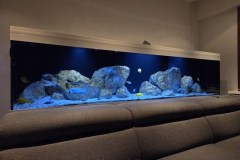 756-Liter-Übergangszone-Aquarium