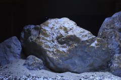 756-Liter-Nonmbuna-514
