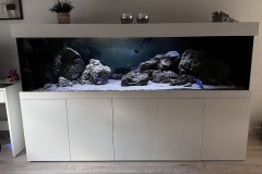 Becken-90