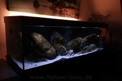 840 Liter Malawisee Aquarium