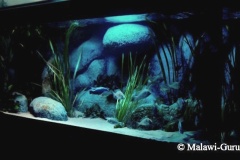 840-Liter-3D-Rückwand-Sand/Übergangszone-Aquarium