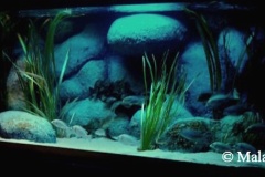Sandzone-840-Liter-200