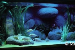 Sandzone-840-Liter-202