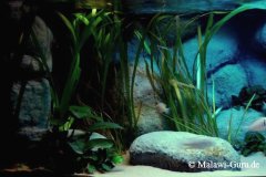 Sandzone-840-Liter-207