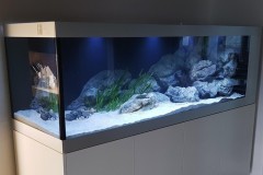 840-Liter-Sandzone-Aquarium