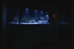Sand-Uebergangszone-840-Liter-002