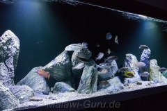 980-Liter-Nonmbuna-304