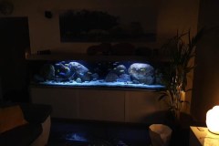 990-Liter-Fels/Übergangszone-Aquarium