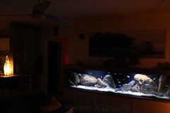 990-Liter-felsige Übergangszone-Aquarium