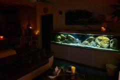 990-Liter-Uebergangszone-304