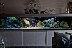 990-Liter-Sand-Uferzone-Aquarium