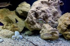 990-Liter-Sand-Uferzone-November-2024-112