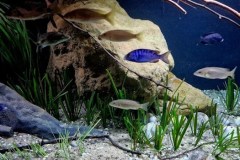 990-Liter-Sand-Uferzone-November-2024-113