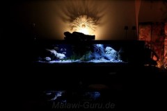 990 Liter Sandzone Aquarium Malawi