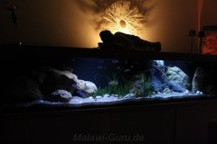 990-Liter-Sandzone-103