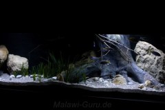 990-Liter-Sandzone-106