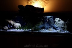 990-Liter-Sandzone-107