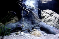 990-Liter-Sandzone-113