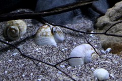990-Liter-Sandzone-114