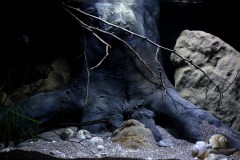 990-Liter-Sandzone-119