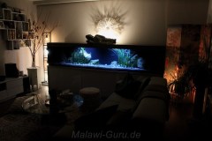 990-Liter-Sandzone/Seegras-Aquarium