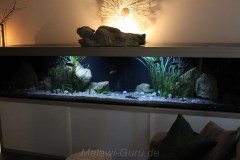 990-Liter-Sandzone-1