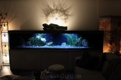 990-Liter-Sandzone-12