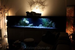 990-Liter-Sandzone-13