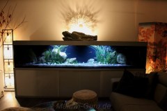 990-Liter-Sandzone-3