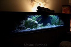 990-Liter-Sandzone-6