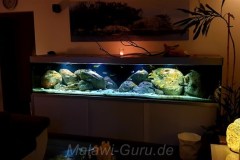990-Liter-Nonmbuna-Mbuna-Uebergangszone-100