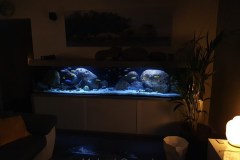 990-Liter-Nonmbuna-Mbuna-Uebergangszone-103
