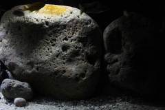 990-Liter-Nonmbuna-Mbuna-Uebergangszone-127