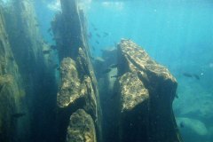 Ababi Island - Malawisee