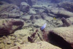 Ababi Island/Mbenji Island